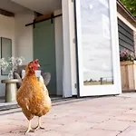 B&B De Zuiderstolp