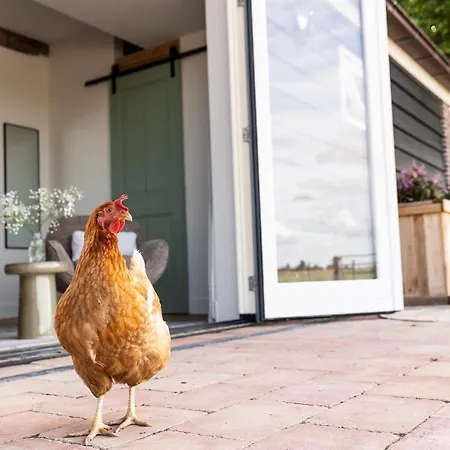 Bed & Breakfast De Zuiderstolp