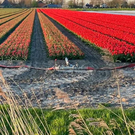 De Zuiderstolp Bed & Breakfast *