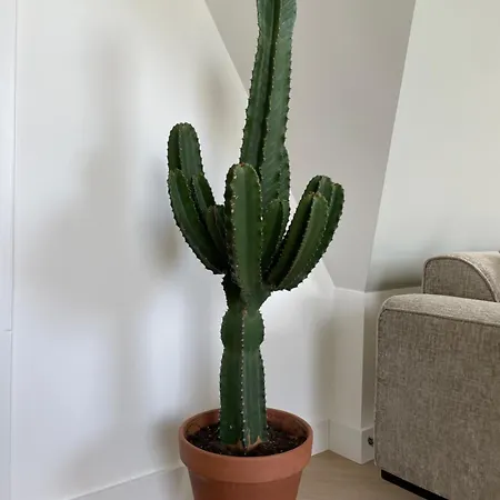 De Zuiderstolp 3* Zuidermeer