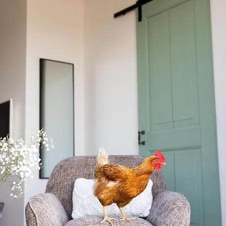 Frühstückspension De Zuiderstolp Zuidermeer