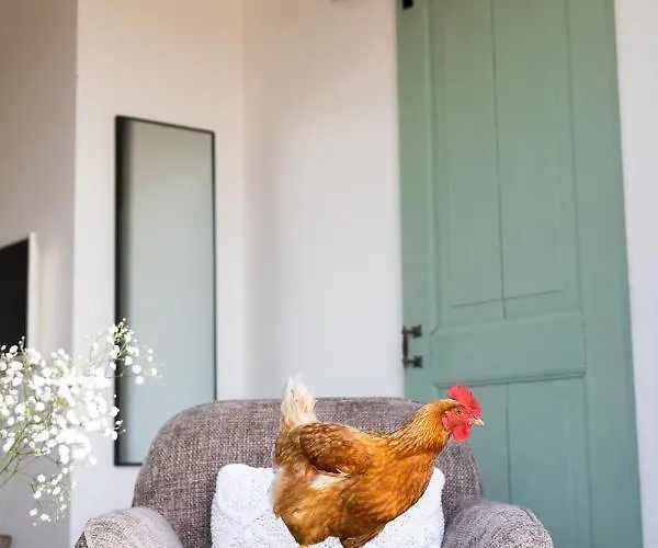 Bed & Breakfast De Zuiderstolp Zuidermeer