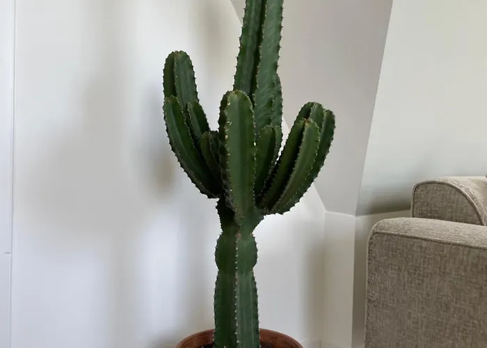 De Zuiderstolp 3* Zuidermeer